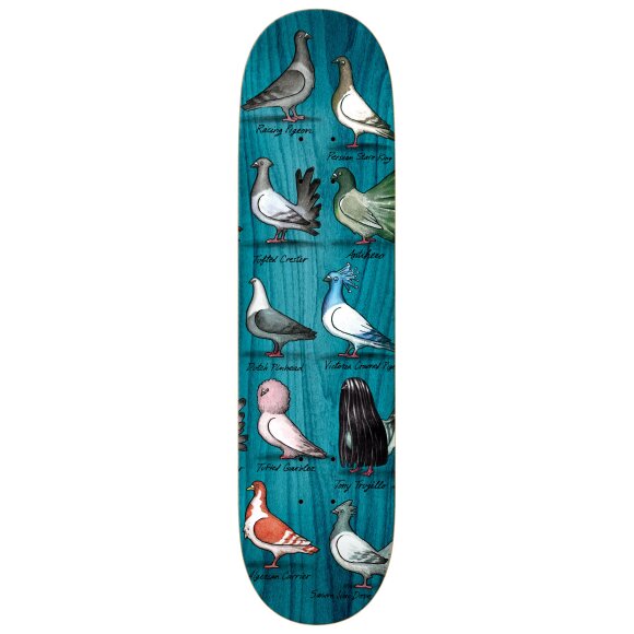 Antihero - Anti Hero Pfanner Show Pigeons Skateboard